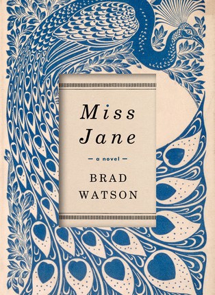 Miss Jane by Brad&nbsp;Watson