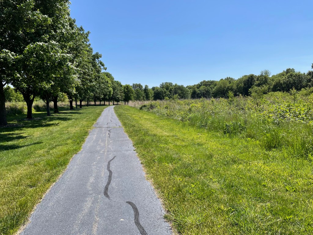 A path through Rotary Park in O'Fallon, Illinois. Photo taken by Heidi.